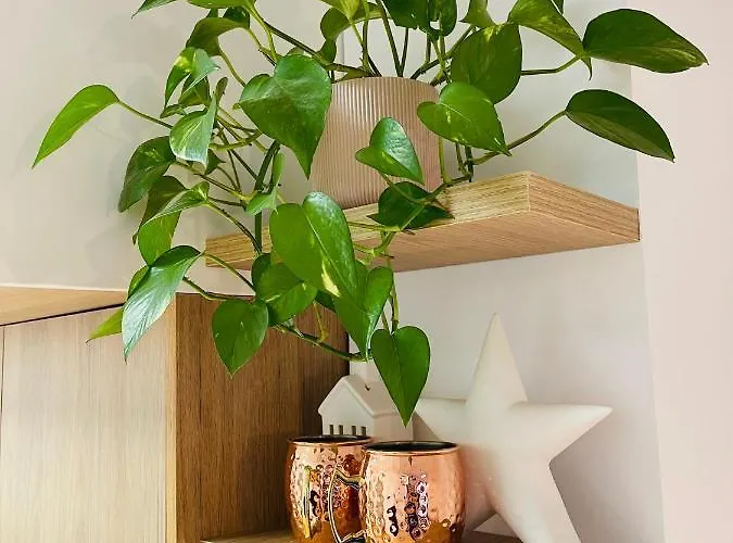 דירה Sol אוביידו